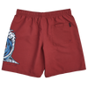 Santa Cruz Screaming Wave Boardshorts