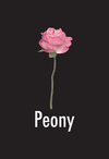 Peony DVD