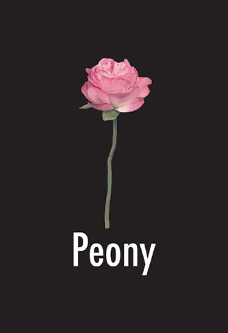 Peony DVD