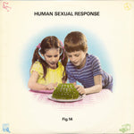 Human Sexual Response – Fig. 14 Vinyl LP Record *Used 1980 Release*